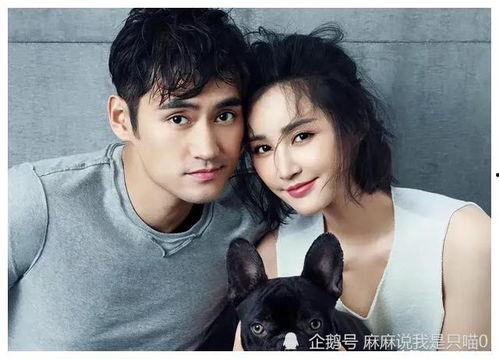 娱乐圈吃瓜爆料小徐徐是谁,揭秘神秘爆料人身份之谜